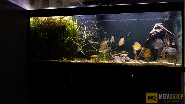 умный аквариум rubetek