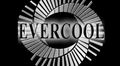 Evercool Transformer 4 width=