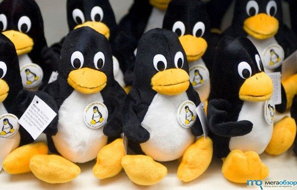 Пингвин Софтвер width=