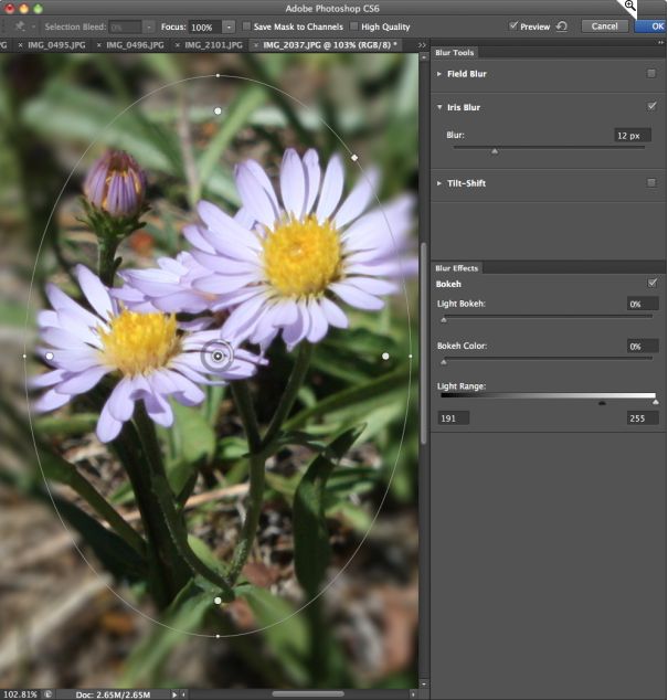 Adobe Photoshop CS6 Beta width=
