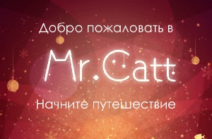 Обзор Mr. Catt. Красивая головоломка