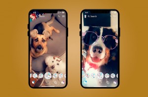 Snapchat обзавелся AR-масками для собак