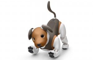 Новая расцветка роботизированного пса Aibo