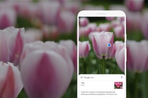 Google Lens получает новые фильтры для устройств Android и iOS
