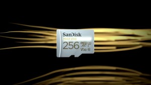 Карты памяти компании SanDisk MAX ENDURANCE прослужат 15 лет