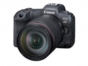 Примеры работы автофокуса в Canon EOS R5