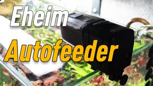 Обзор Eheim Autofeeder. Автоматическая кормушка для аквариума