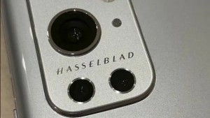 Опубликованы новые фото с камеры Hasselblad в OnePlus 9