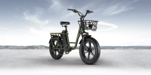 Представлен электрический грузовой велосипед Fiido T1