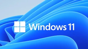 Последнее обновление Windows 11 ломает работу многих программ