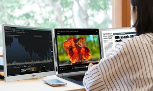 Представлен портативный монитор Bigme B13