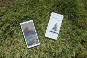E-Ink-ридеры с ИИ Viwoods AiPaper Reader и AiPaper Reader C