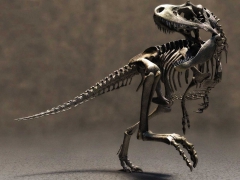 На территории Венесуэлы был найден первый скелет динозавра