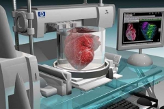 Живой орган на 3D-принтере напечатают российские ученые