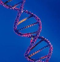 Создание генетически модифицированных детей вполне реально, заявили ученые