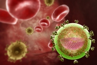 Антитело, подавляющее ВИЧ испытали ученые