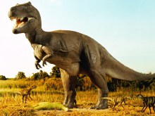 Ученые: Динозавры вымерли из-за роста силы притяжения Земли
