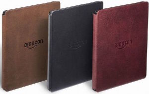 Amazon Kindle Oasis стоит 290 долларов 