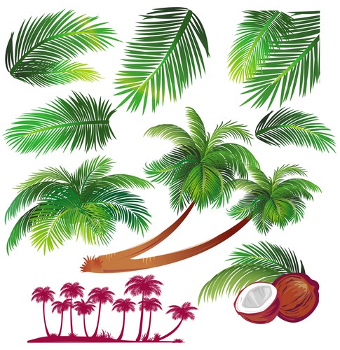 Palms Green Vegetables width=