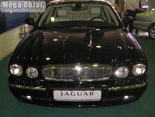 Jaguar width=