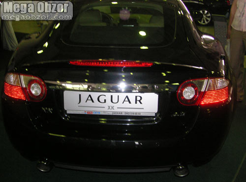 Jaguar width=
