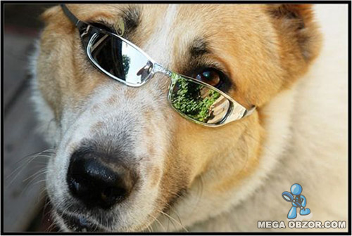 Размышлизм. Про совесть.