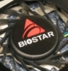 Biostar GeForce 9600 GT 512 MB