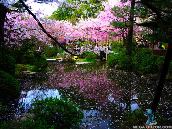 Клипарт Японские сады. Часть 2