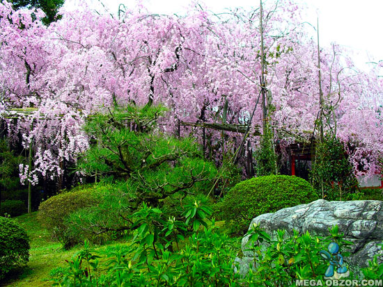 Клипарт Японские сады