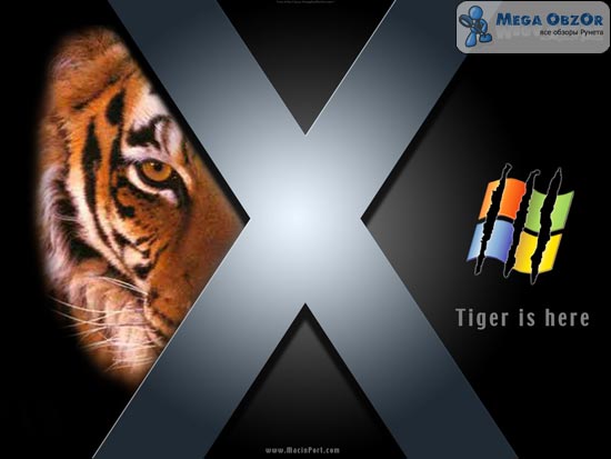 Обои с изображением Тигров