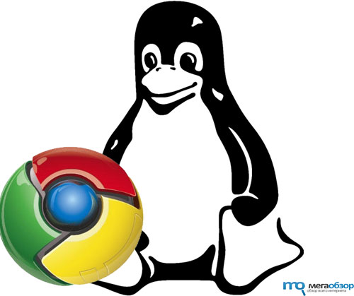 Google Chrome Linux width=