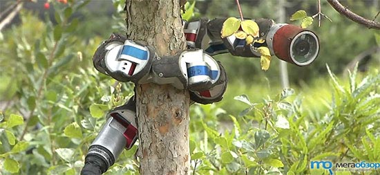 Робот умеющий ползать по деревьям width=