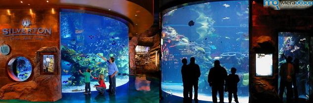 Самые большие аквариумы в мире width=
