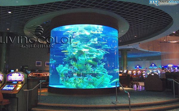 Самые большие аквариумы в мире width=