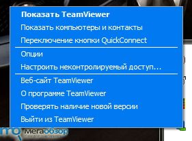 Обзор TeamViever width=
