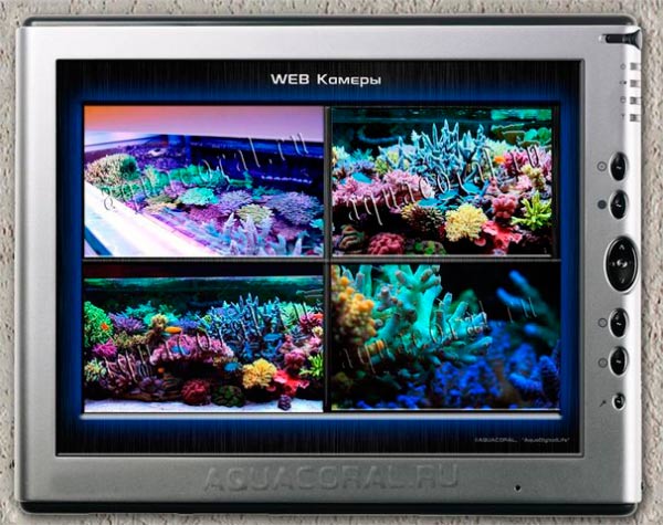 AquaDigitalLife система автономного жизнеобеспечения аквариумов width=