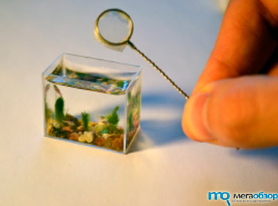 Создан самый маленький в мире аквариум с рыбками width=