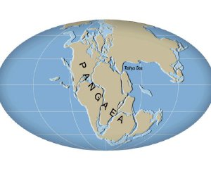 Ученые: континенты могут снова объединиться в Пангею