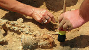 Археологи: В Китае нашли необычную древнюю стоянку людей
