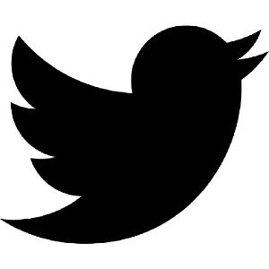 Около 300 сотрудников Twitter потеряют свою работу. 