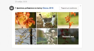 Яндекс.Диск получил ленту событий