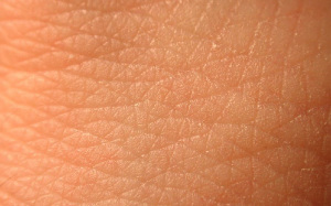 Ученые изобрели кожу. 