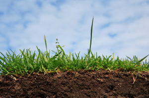 Как климат воздействует на почву? 