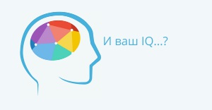 IQ и интеллект человека не связаны между собой.