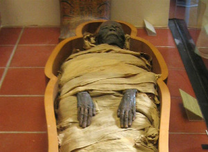 Происхождение древней мумии было раскрыто 