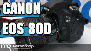 Обзор камеры Canon EOS 80D с точки зрения репортера