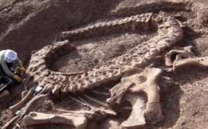 Китай: найдены останки беременной рептилии вековой давности