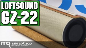 Обзор GZ electronics LoftSound GZ-22. Эффектная портативная колонка с NFC и 3D Stereo Sound