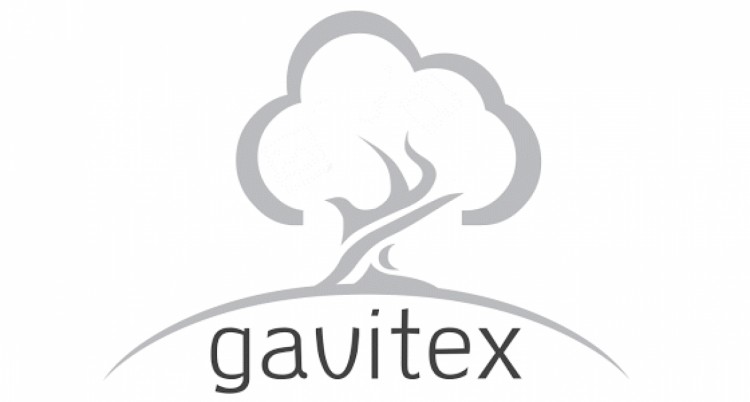 Gavitex