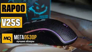Обзор Rapoo V25S. Лучшая бюджетная игровая мышь